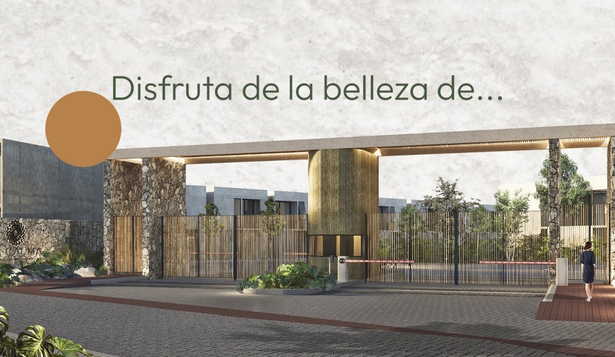 WhatsApp Image 2023-05-24 at 10.18.25 AM (3)