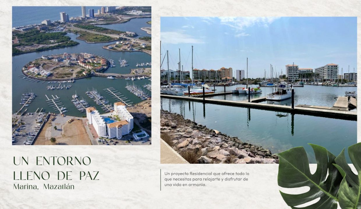 WhatsApp Image 2023-05-24 at 10.18.25 AM (4)