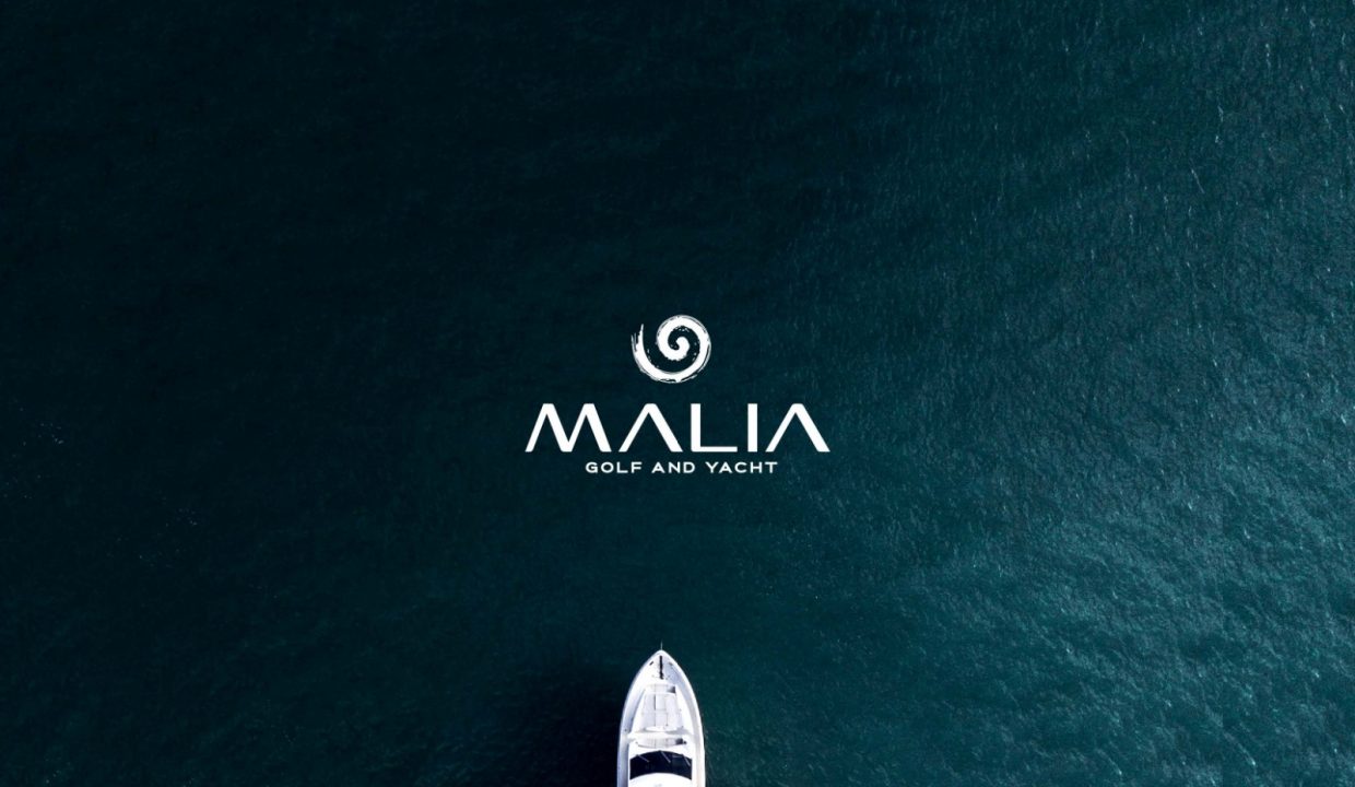 WhatsApp Image 2023-10-30 at 1.00.54 PM