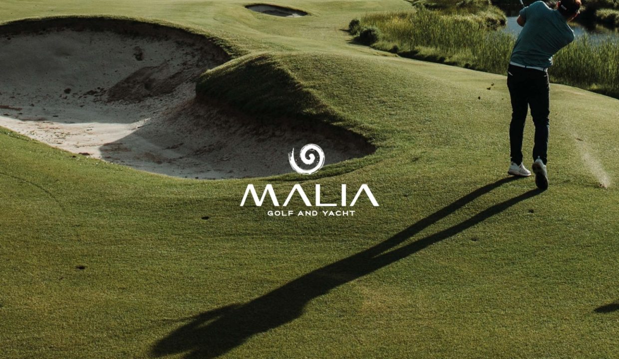 WhatsApp Image 2023-10-30 at 1.00.59 PM