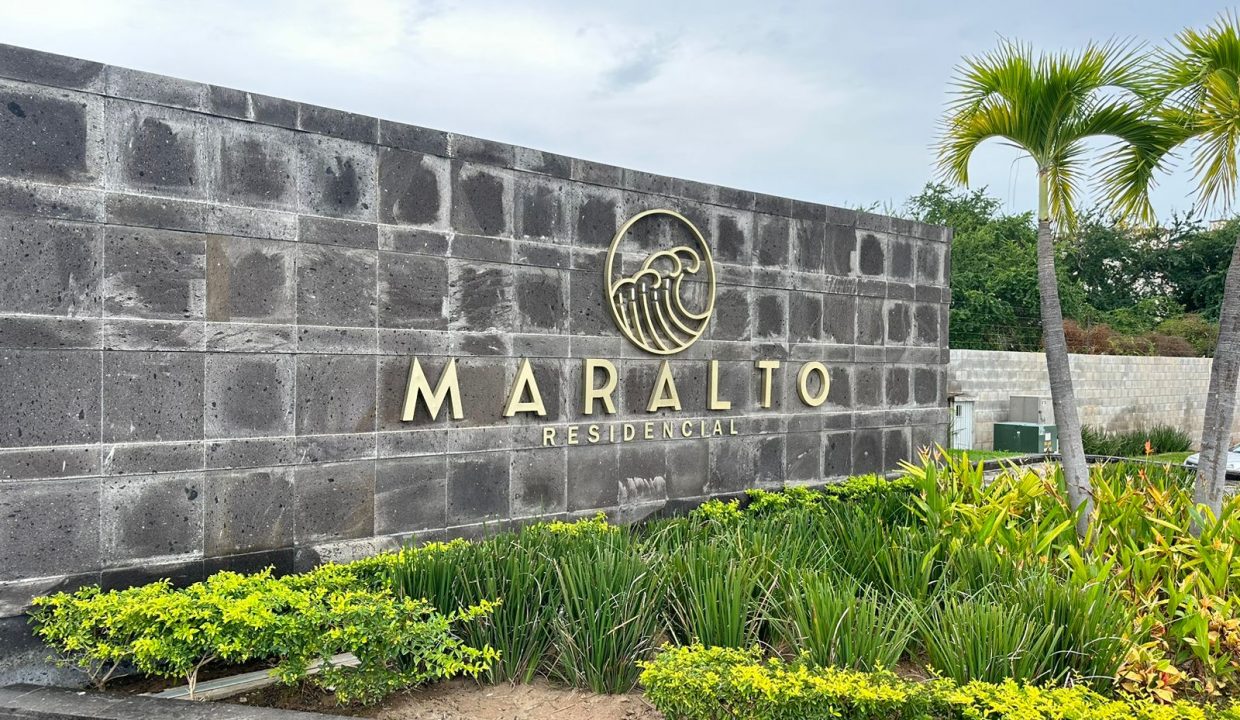 WhatsApp Image 2024-03-14 at 3.51.46 PM (3)