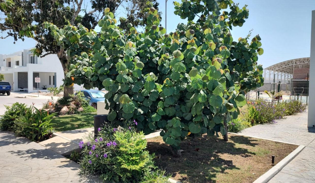 AMENIDADES-COTO-VERSALLES-RESIDENCIAL-MAZATLAN-SINALOA (7)