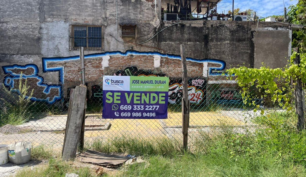 WhatsApp Image 2025-02-19 at 3.48.32 PM (1)