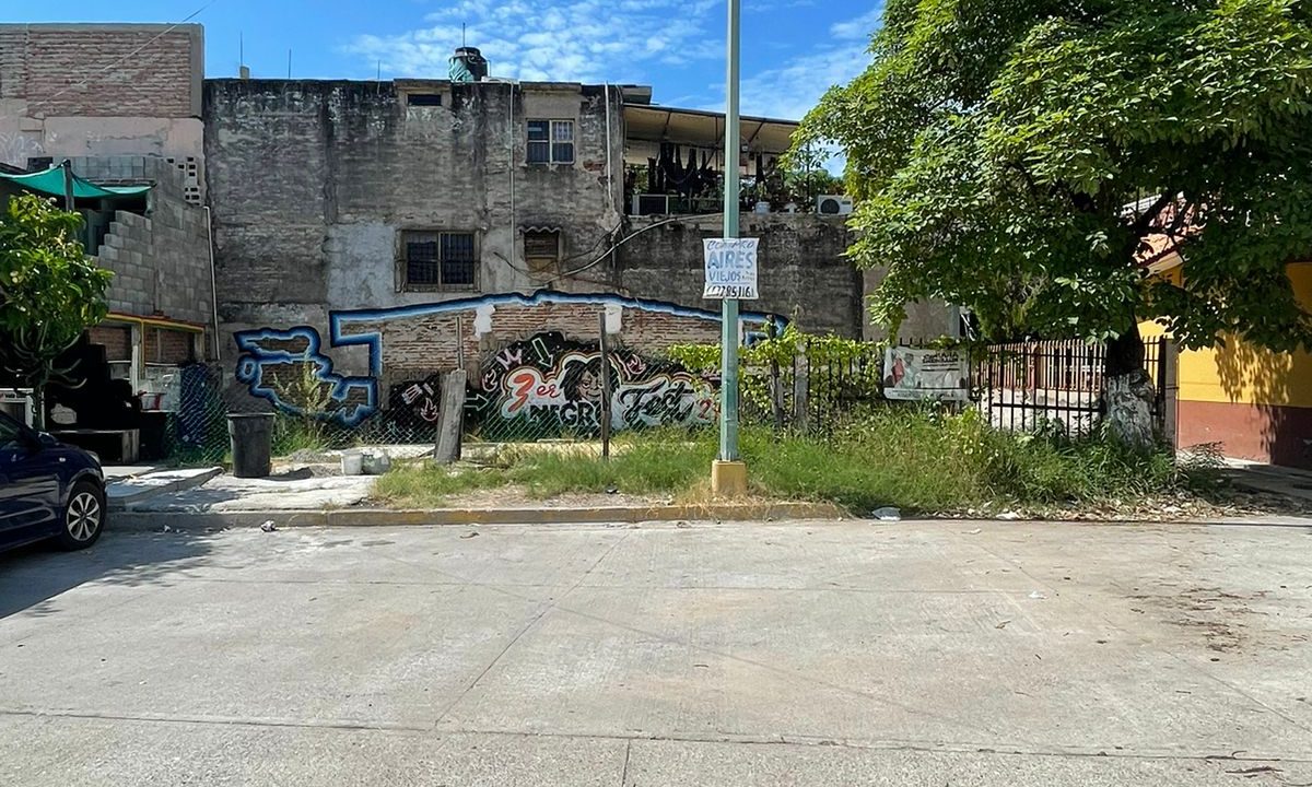 WhatsApp Image 2025-02-19 at 3.48.32 PM