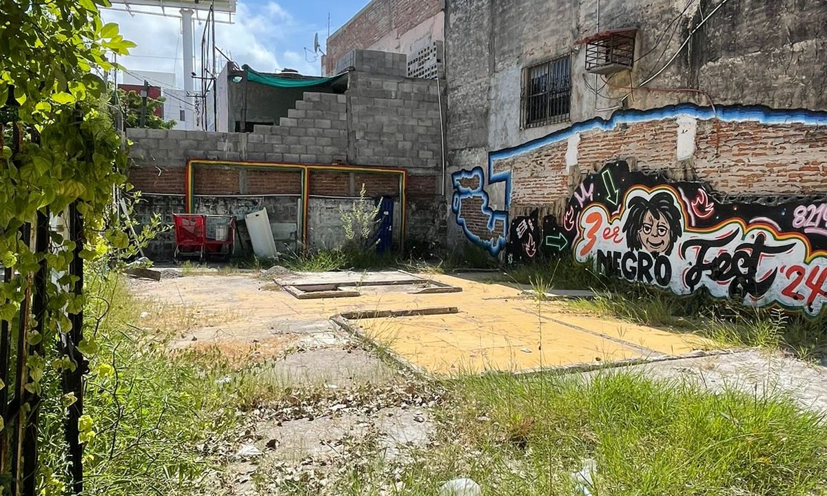 WhatsApp Image 2025-02-19 at 3.48.32 PM (2)