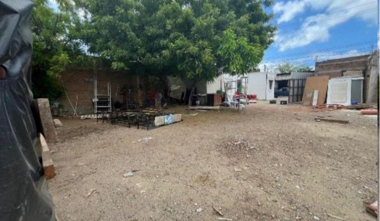 WhatsApp Image 2025-06-27 at 4.24.14 PM