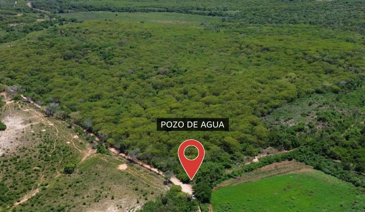 WhatsApp Image 2025-11-29 at 12.37.05 PM (1)