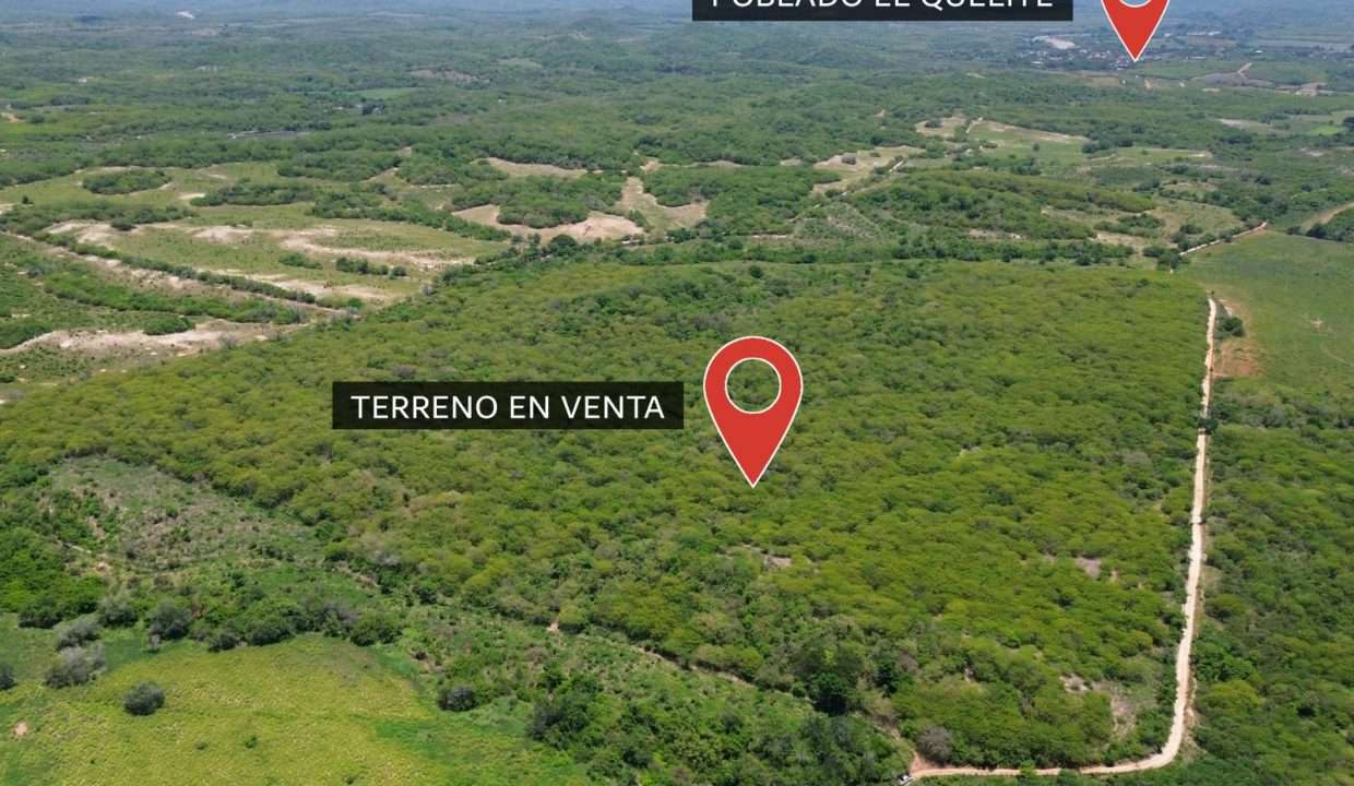 WhatsApp Image 2025-11-29 at 12.37.05 PM