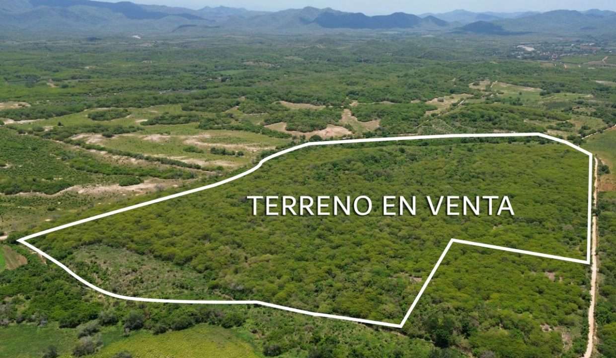 WhatsApp Image 2025-11-29 at 12.37.05 PM (2)