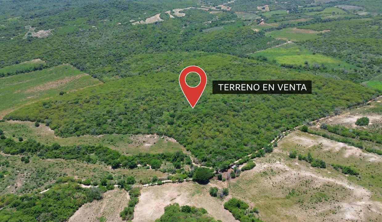 WhatsApp Image 2025-11-29 at 12.37.06 PM (1)