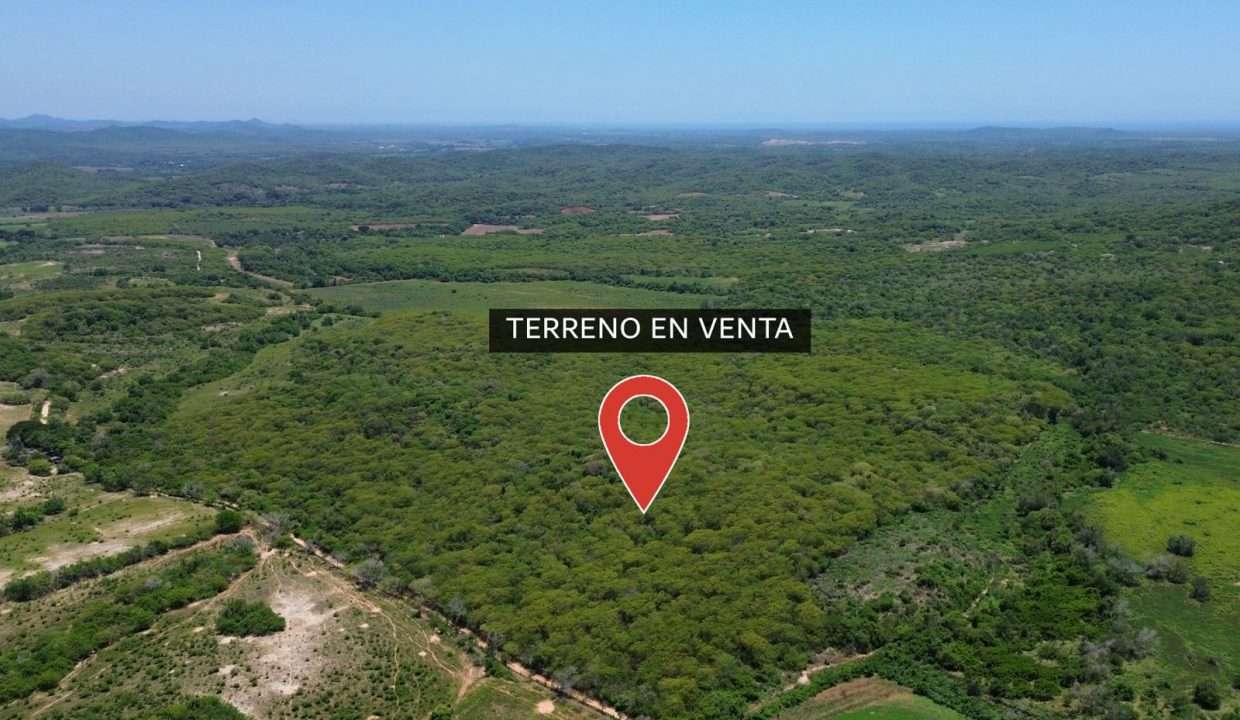 WhatsApp Image 2025-11-29 at 12.37.06 PM (3)