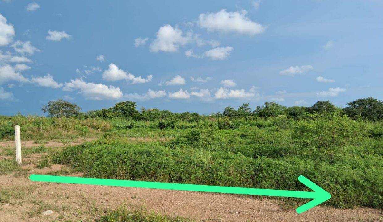 TERRENO- VENTA-LA-COLINA-MAZATLAN-SINALOA (3)